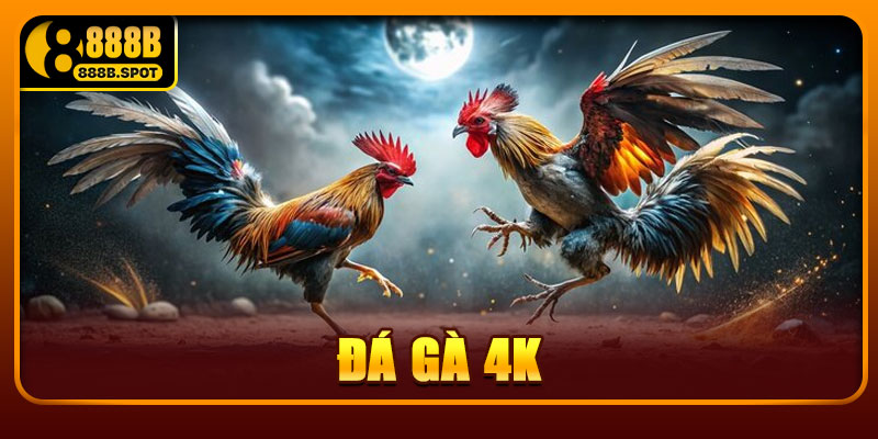 Đá Gà 4K