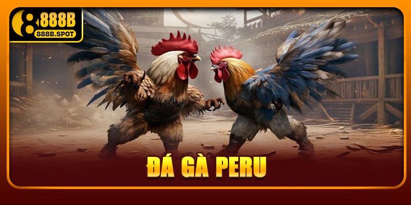 Đá gà Peru