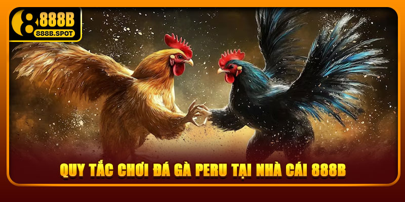 Quy tắc chơi đá gà Peru tại nhà cái 888B.com