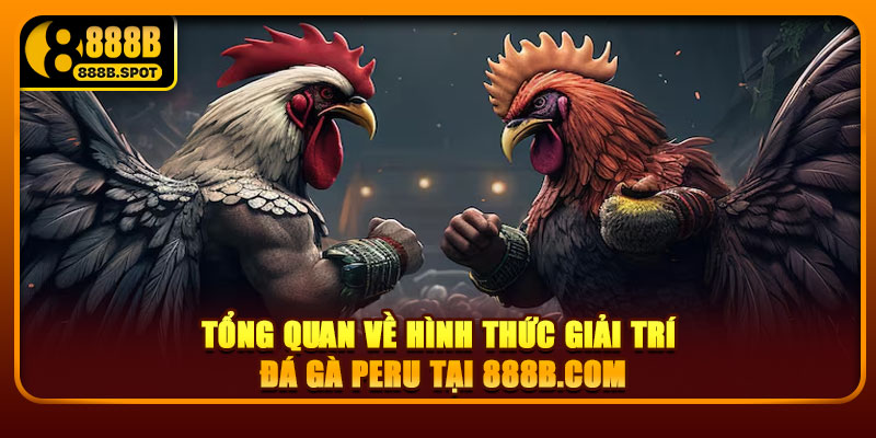 Tổng quan về hình thức giải trí đá gà Peru tại 888B.com
